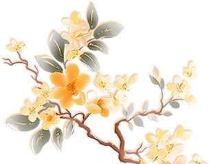 【元旦特辑】叙永县博物馆邀您共赴一场“古韵新禧”的文化之约！