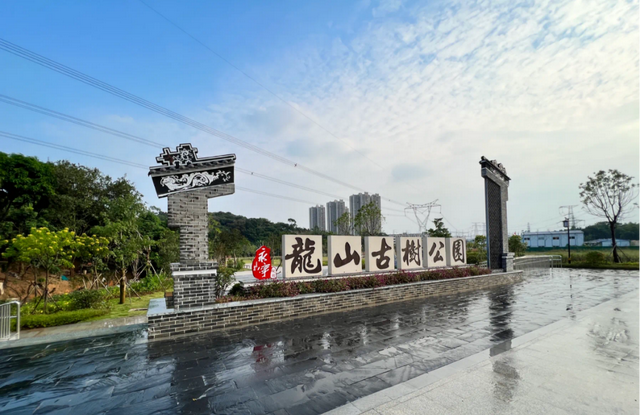 跟着村歌游增城！这个深秋，天籁乡音开启美好荔乡之旅