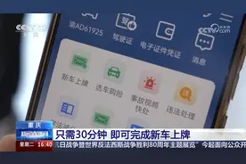 手机30分钟完成新车上牌 数据共享打破部门壁垒 市民办事更便捷图片