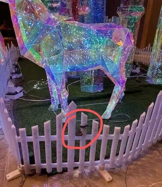 游客在四川九寨沟一酒店大堂发现剧毒蛇：孩子以为是假蛇还摸了蛇头！