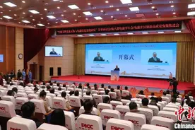 百余名中外专家学者相聚新疆库车开展龟兹文化研讨交流图片