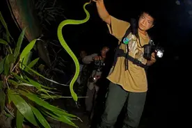 昏迷前，他说这个蛇“可能是个新东西”图片