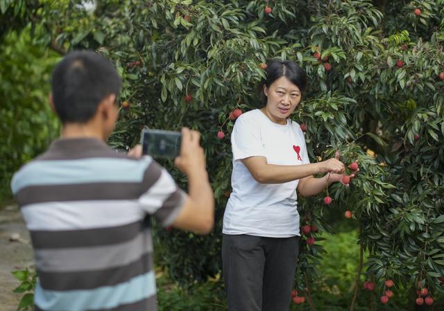 诗意中国｜荔枝驿路蜀道不再难
