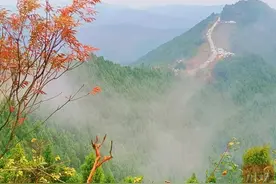 层林尽染，射洪复兴红叶红了！图片