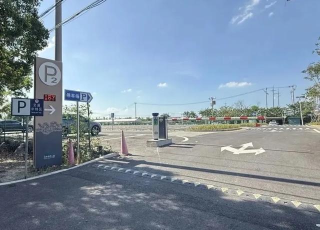 上海人的“宝藏后花园”全面升级啦！水上森林玩出新花样，这份攻略请收好！