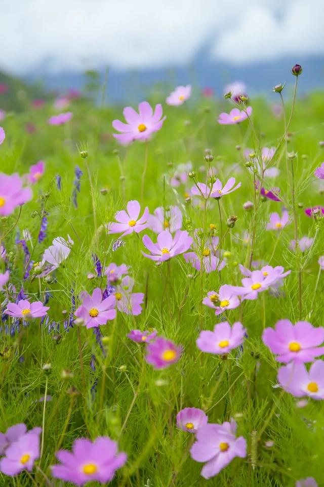 【冬季暖阳 凉山不凉】最全美食美景旅行攻略出炉！第一次来泸沽湖旅游必看！