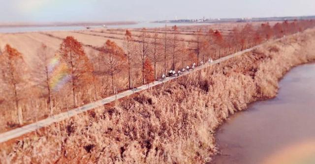 2026年第二届湿地骑行暨2025年度南县推荐官颁奖活动在天星洲举行