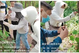 淮安市白蚁防治中心赴盱眙县铁山寺国家森林公园开展白蚁种类与危害分布调查图片