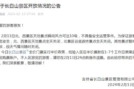 关闭、售罄、演出取消！长白山、峨眉山、西安大唐不夜城，最新提示……图片