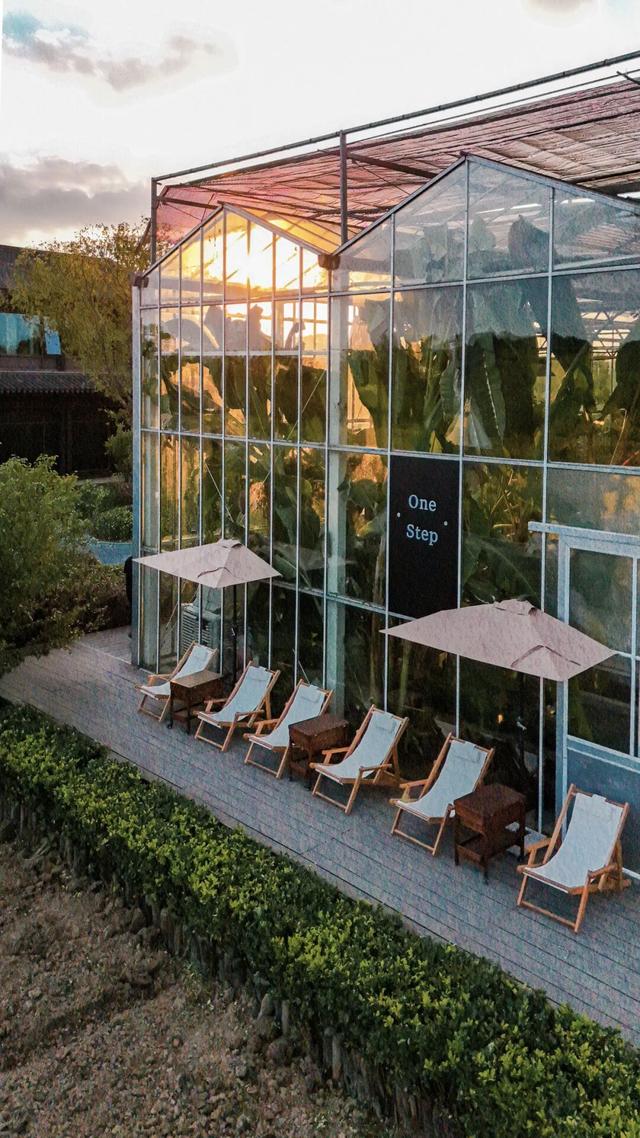 稻浪+咖啡的限时CP，这份美景错过等一年