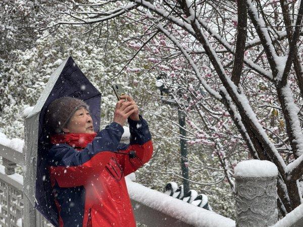 踏雪寻梅，武汉公园美出圈