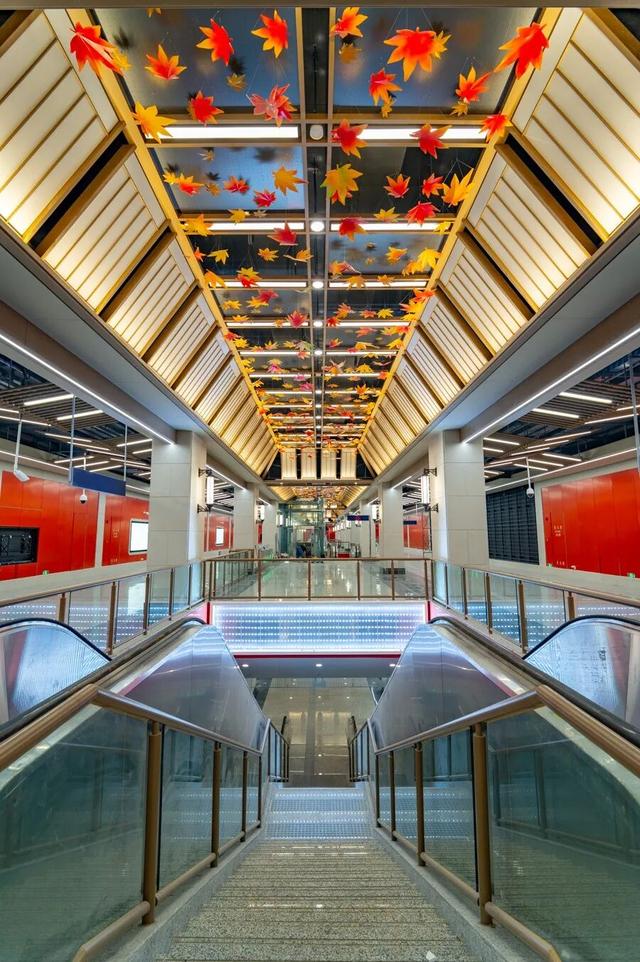 6号线！赶紧和栖霞山“奔现”吧！！