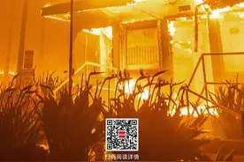 新闻8点见丨目前流感趋势如何？最新研判来了；山火肆虐洛杉矶图片