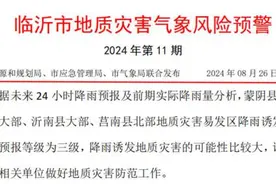 三级地质灾害！临沂发布地质灾害气象风险预警图片