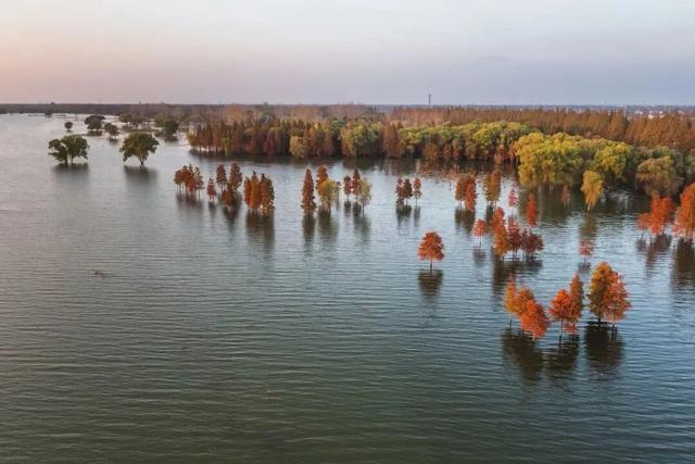 崇明这条生态研学路线，走起！