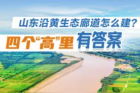 长图丨山东沿黄生态廊道怎么建？四个“高”里有答案图片
