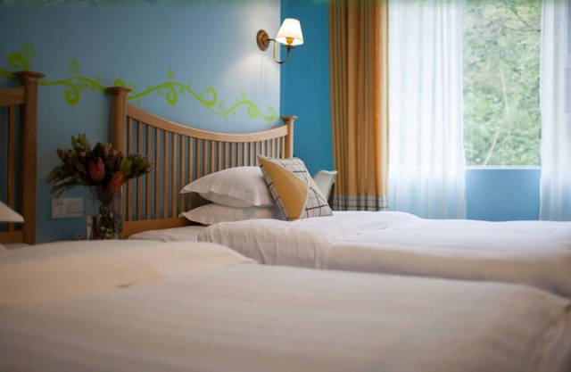 三家上榜！仁化民宿获省级高品质认证