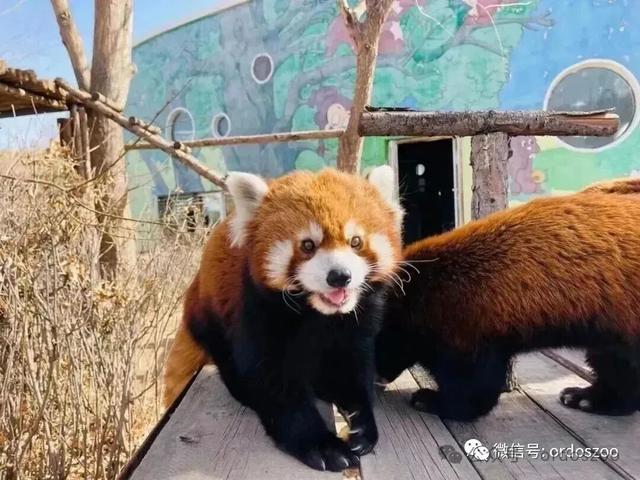 今日开放自驾游，这些人免门票→