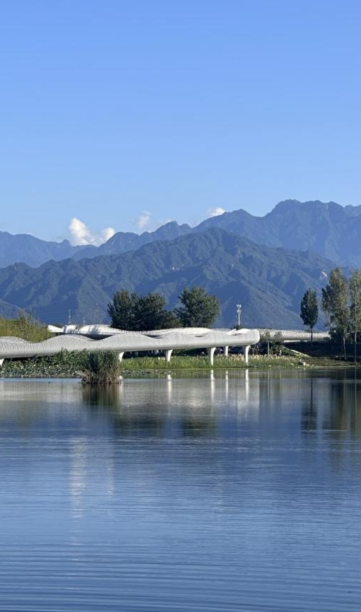 秋意浓，漫步图鉴就在→