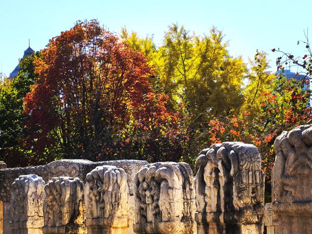 万里无云，阳光正好！周末到公园欣赏北京的秋