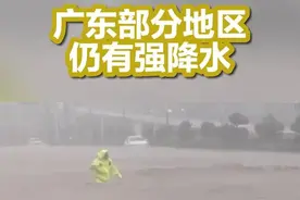 视频｜女童意外掉进滨江河浸潭段 热心群众从数米高河岸跳下迅速营……图片