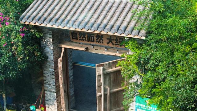 周末就来青白江！又研学又度假，安排！