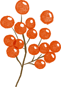 限定美景！听说有人还没去…