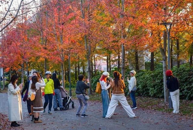 秋冬限定的普陀，美到让人流连忘返，你还不来打卡吗？