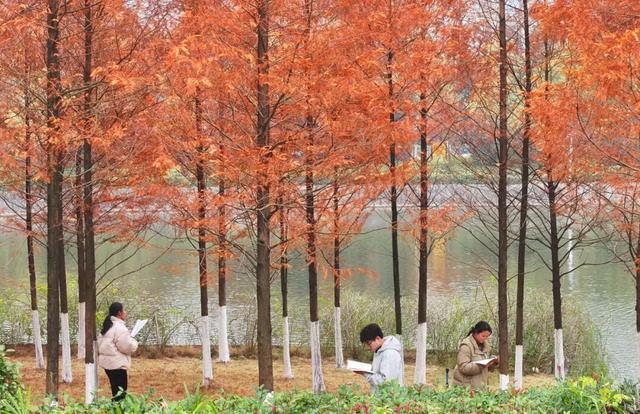 大学出现 “专业替课”服务？是偷懒还是无奈