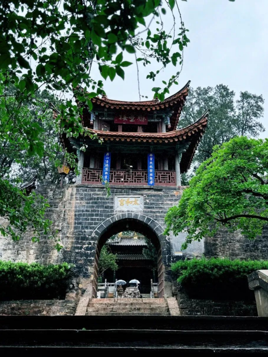 速冲！“森呼吸巴士”解锁大世博生态旅游N种快乐