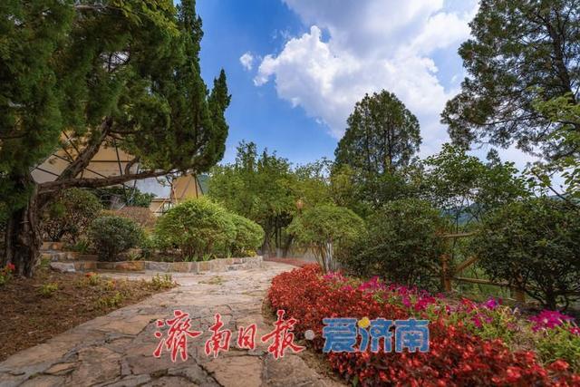 一年四季 泉在济南丨红叶谷打造全新露营地，解锁花间旅游新玩法