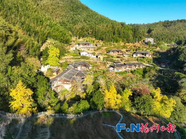 惊艳上线！福州这里变身“黄金村”！还有人靠它悄悄赚钱……
