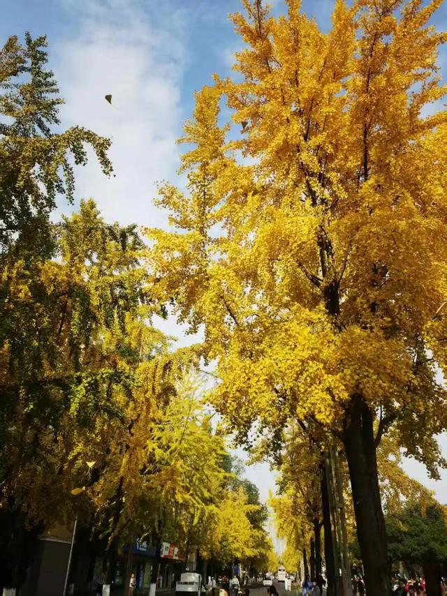 郭家桥，川大南门外的美食「金三角」