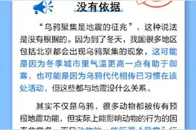 乌鸦聚集就说明要地震了吗？图片