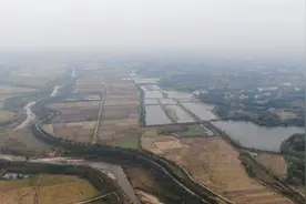 浠水：新技术新装备加持 4万亩小麦抢种下地图片