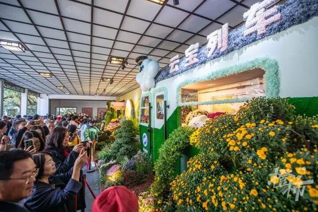 从8点堵到现在！杭州顶流回归