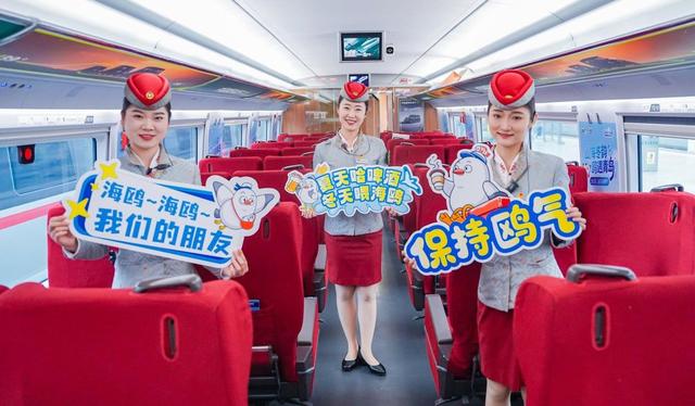 山海冬韵・鸥遇青岛 | “上天入海”场景联动，市南邀您开启鸥遇之旅