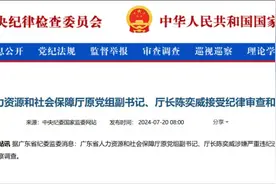 广东省人力资源和社会保障厅原厅长陈奕威被查图片