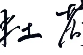益路同行，感恩相伴｜致社会各界爱心企业和爱心人士的感谢信图片