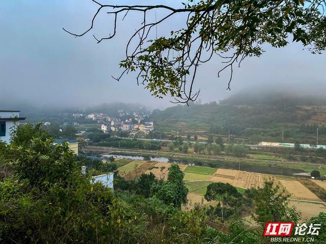 岁暖时刻丨雾锁湘西晨色里，一方秘境藏烟火