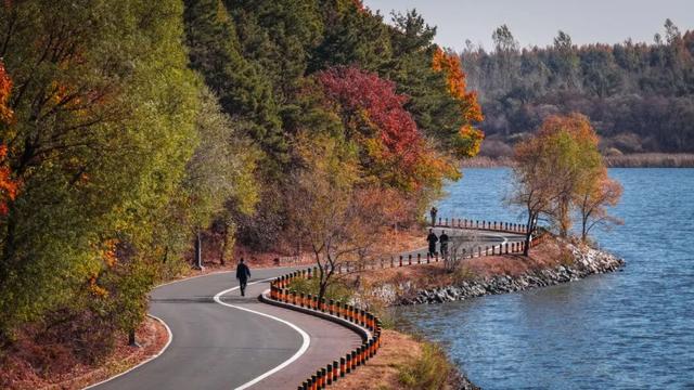 走一走 “森”呼吸