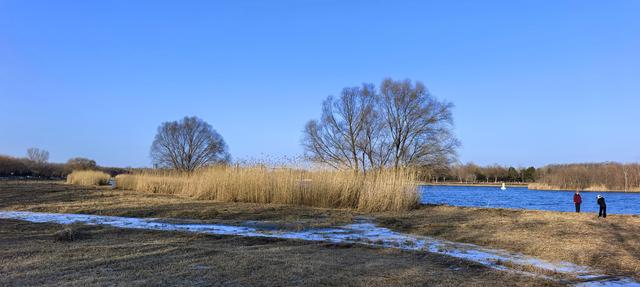 雪后的大运河森林公园，活力满满