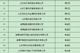 45家！2025年淄博市绿色制造单位名单公布图片