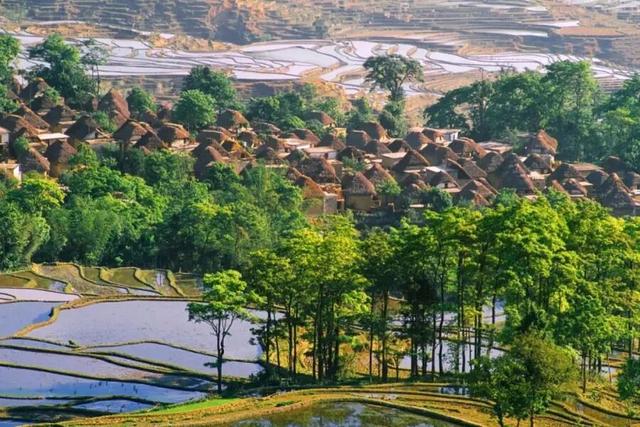 世界级认证！凭实力圈粉