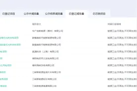 首批新CCER签发项目公布，全国碳市场迎来新气象图片