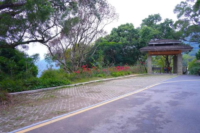 深圳知名景区：9月1日起，停车收费！