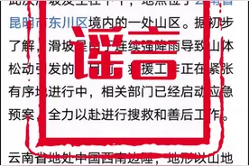 四川网警依法查处10起利用AI造谣典型案例图片
