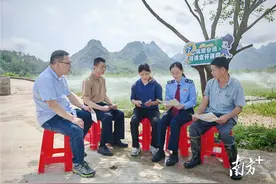 阳山：税务“春风”暖田间，以税助农添“丰”景图片