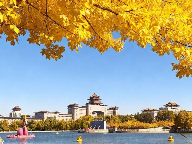 秋意正浓，邂逅浪漫！快来打卡“七站两场”地区的限定秋色