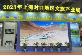 走进文博会，直击新疆巴楚县展会现场→图片